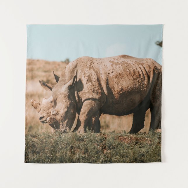 TENTURE RHINO EN AFRIQUE (Devant)