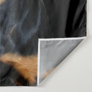 Tenture Rottweiler