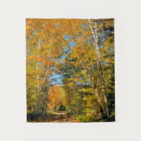 Route rurale couleurs d'automne New Hampshire