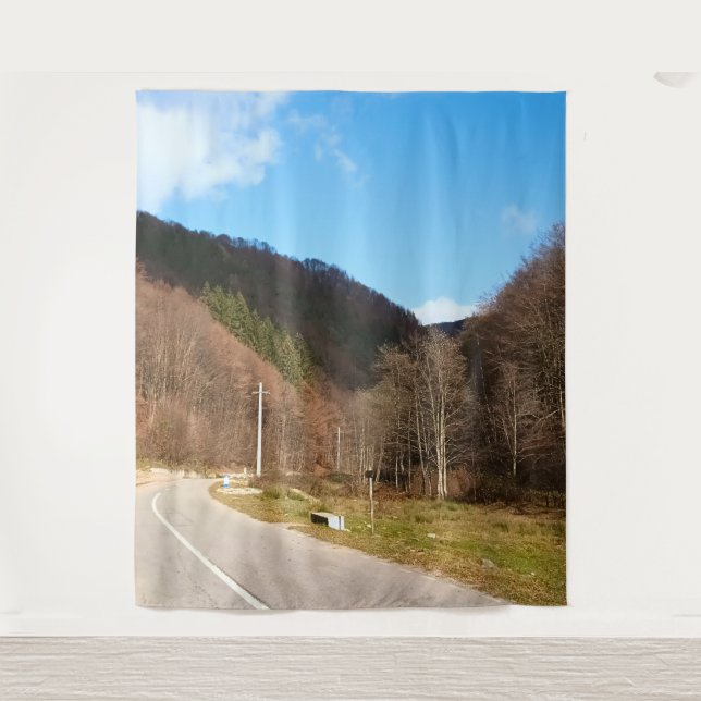 Tenture Route sinueuse à travers la forêt – Nature sauvage (Devant)