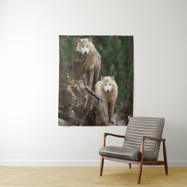 Tenture Royaume des Loups Blancs (En situation)