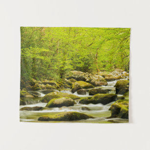 Tenture Ruisseau Rugissant au printemps