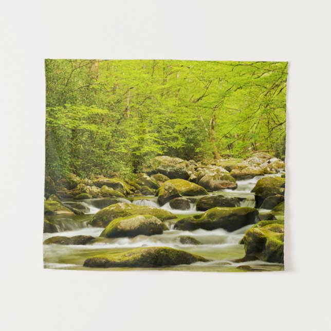 Tenture Ruisseau Rugissant au printemps (Devant (Horizontal))