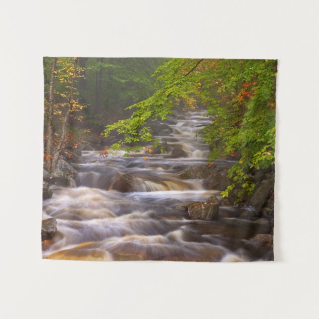 Tenture Ruisseaux le long du sentier des Appalaches (Devant (Horizontal))