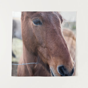 TENTURE SAD HORSE