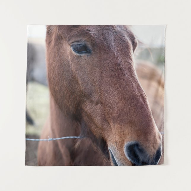 TENTURE SAD HORSE (Devant)