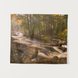Tenture Sentier des Appalaches ruisselant Vermont