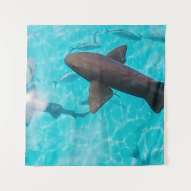 TENTURE SHARKS ON BODY OF WATER (Devant)
