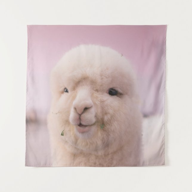 TENTURE SHEEP BLANC EN FERMETURE PHOTOGRAPHIE (Devant)
