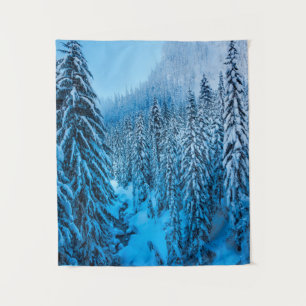 Tenture Snoqualmie Pass, État de Washington.