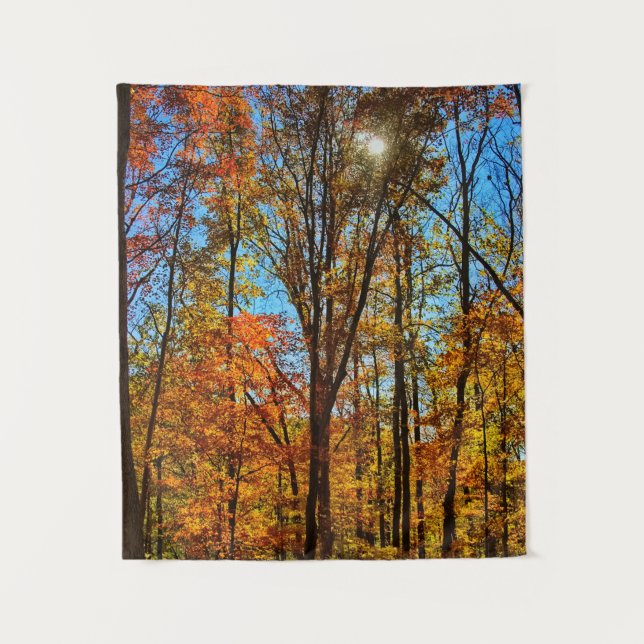 Tenture Soleil à travers la forêt automnale d'automne (Devant)
