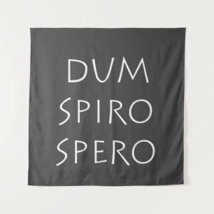 Tenture sperme spiro
