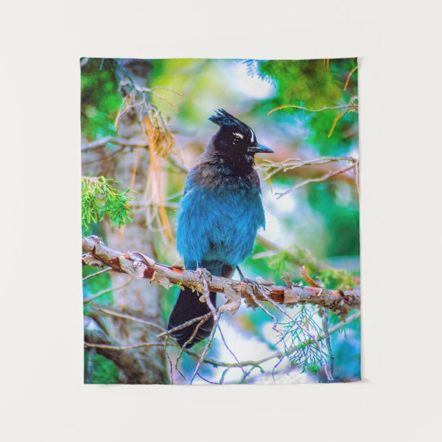Tenture Steller's Jay - Photographie originale (Devant)