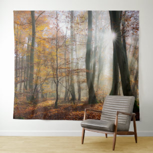 Tenture Sun Rays Mystic Pittoresque Fall Forest Nature Pho