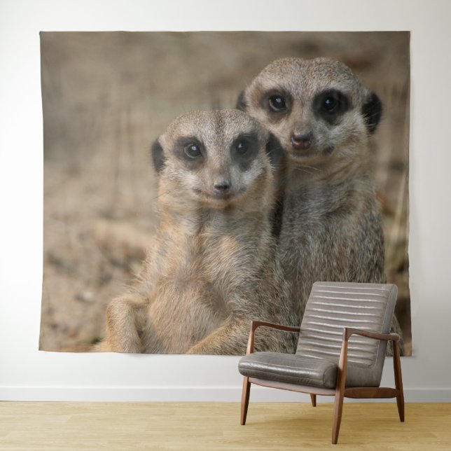 Tenture Suricate 067 (En situation (horizontale))