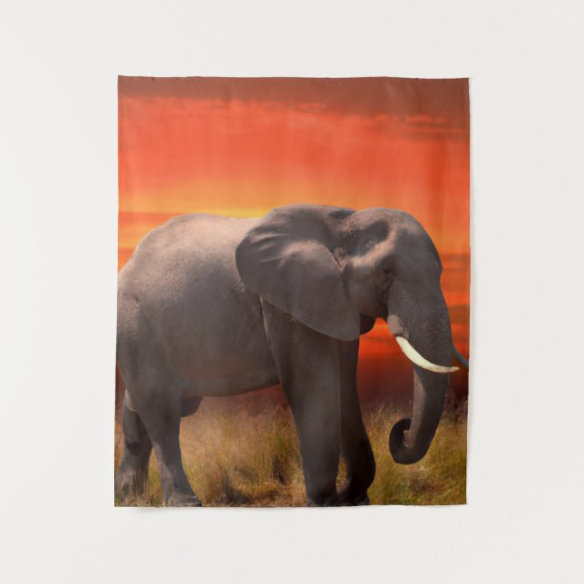 Tenture Tapis muraux à l'éléphant africain et au coucher d (Devant)