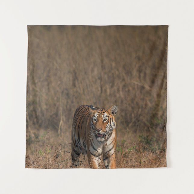 TENTURE TIGER PORTRAIT (Devant)
