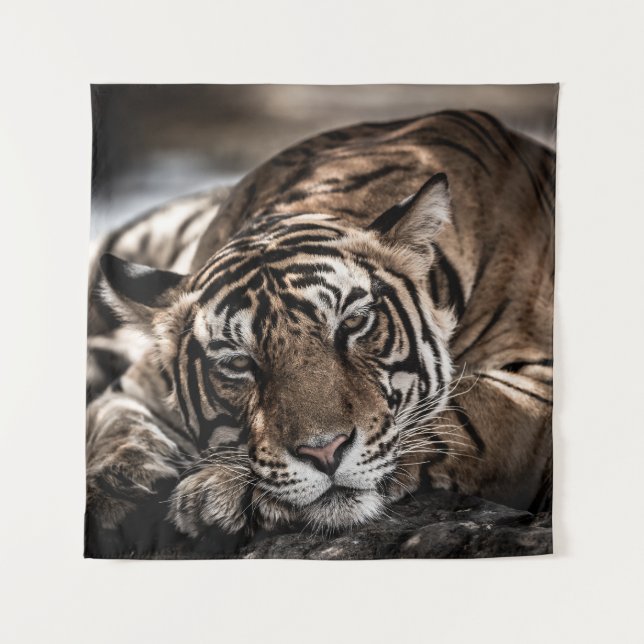 Tenture Tigre de Ranthambore : gros plan. (Devant)