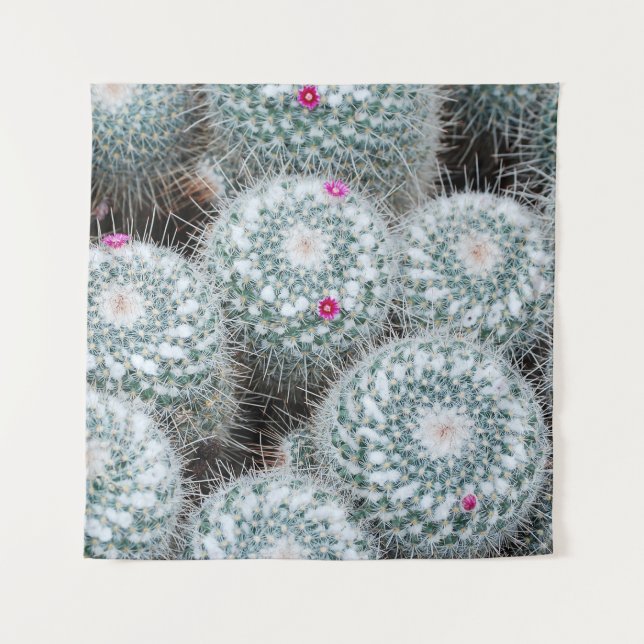 Tenture Tiny rose Fleurs Plantes Cactus (Devant)