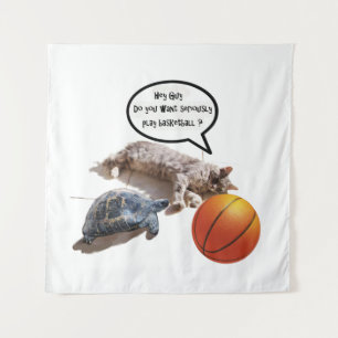 TENTURE TORTURE DE CHAT ET BASKETBALL