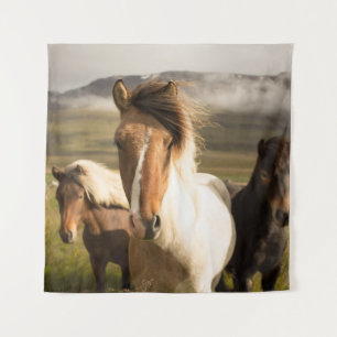 TENTURE TROIS CHEVAUX COULEUR COULEUR COULEUR COULEUR COUL
