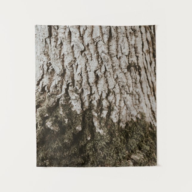 Tenture Tronc d'arbre gris (Devant)