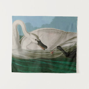 Tenture Trumpeter Swan Birds of America Audubon Print