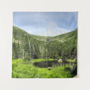 Tenture Un petit étang dans la vallée des montagnes