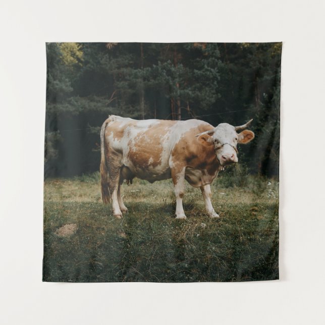 Tenture VACHE CHAINÉE Brown ET BLANCHE (Devant)
