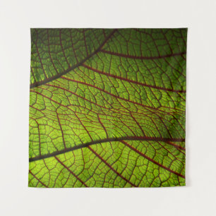 Tenture Vitres feuille de macro veines feuille vert