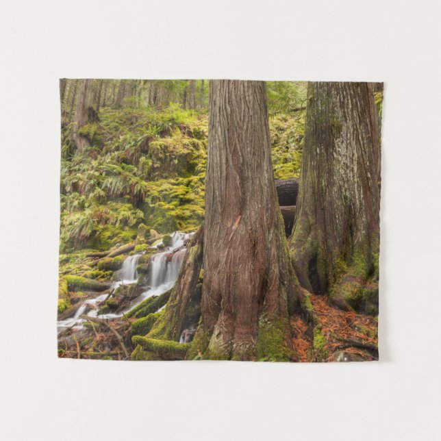 Tenture White Branch Falls, Oregon Cascades, Oregon (Devant (Horizontal))