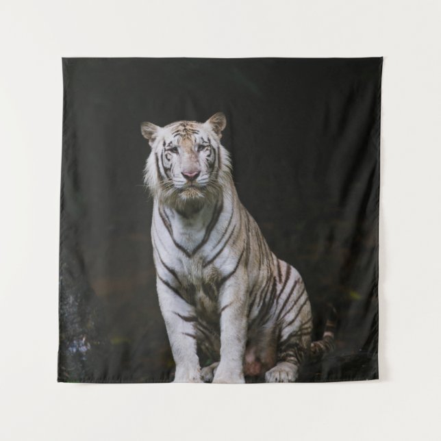TENTURE WHITE TIGER (Devant)