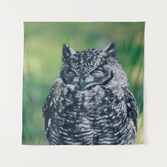 TENTURE WILL OWL DANS LA FORÊT FRANÇAISE (Devant)