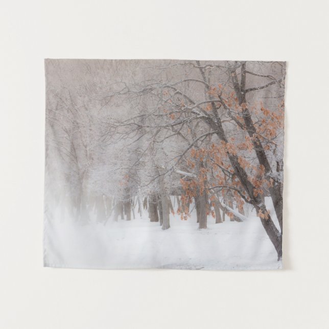Tenture Winter Snow | Lake Kussharo (Devant (Horizontal))