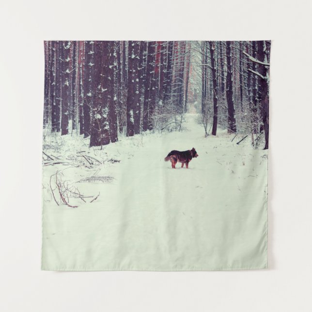Tenture Winter snowy pine forest, dog walking in the fores (Devant)