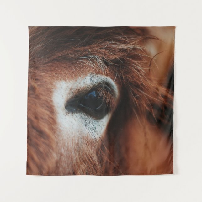 TENTURE YEUX DE CHEVAL SOMBRE (Devant)