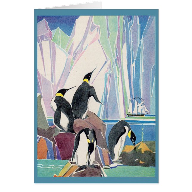 terrain de pingouin (Devant)