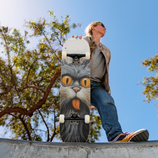 TERRAIN DE SKATEBOARD CHAT SCRUFFY (Extérieur 1)