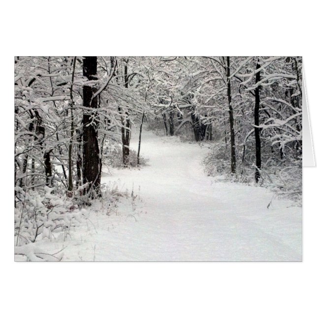 Terrain de snowcrusted dans le Vermont IL (Devant Horizontal)