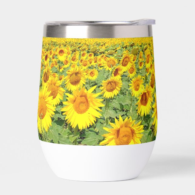 Terrain de tournesol (Gauche)