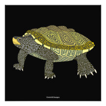 Terrapin (noir) - Impression photo