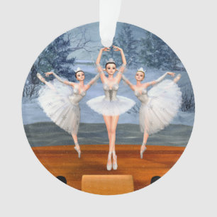 Terre de la danse de neige Ballerinas