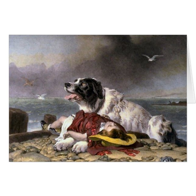 Terre-Neuve Dons Landseer sauvé (Devant horizontal)