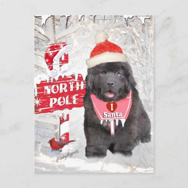 Terre-Neuve-et-Labrador aime les cartes Père Noël (Devant)