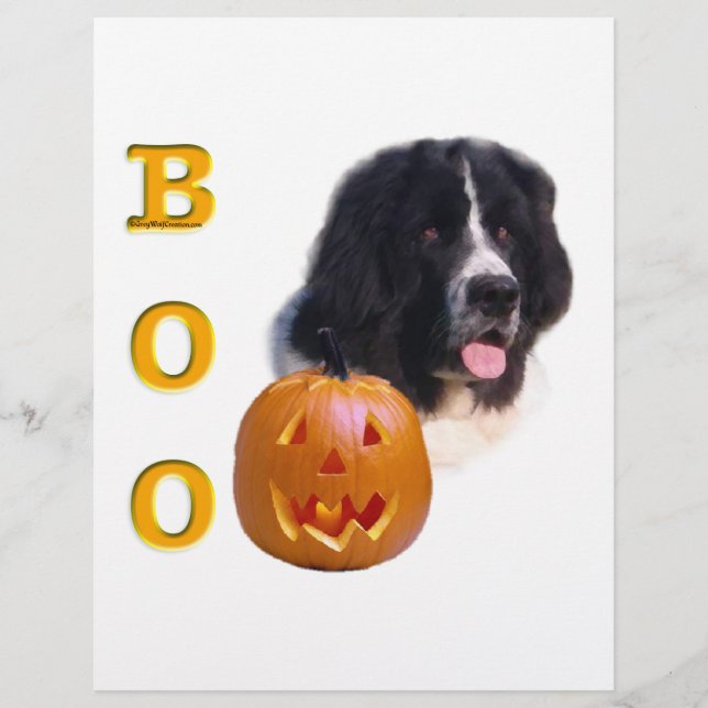 Terre-Neuve Landseer Halloween Boo (Devant)