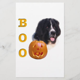 Terre-Neuve Landseer Halloween Boo