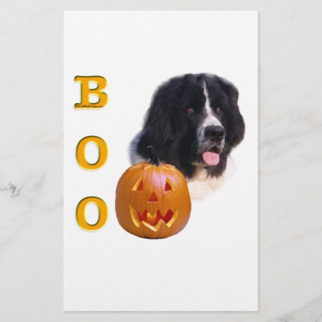 Terre-Neuve Landseer Halloween Boo (Devant)