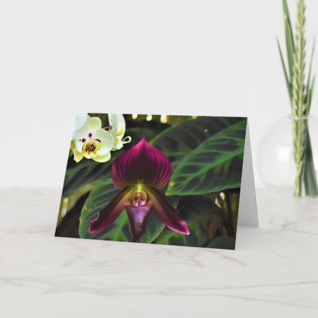 Terre verte, carte (Devant)