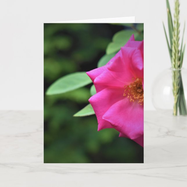 Terre verte, carte (Devant)