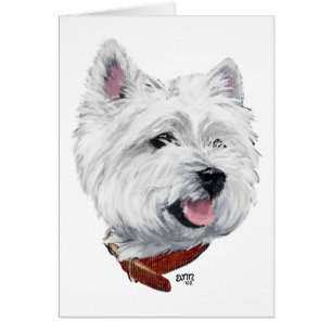 Terrier Blanc de West Highland